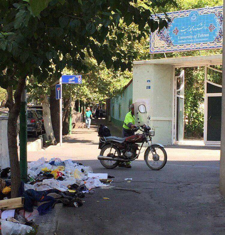 تصویری عجیب از دانشکده محیط زیست دانشگاه تهران!