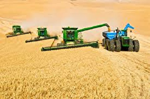 خودکفایی محصولات استراتژیک معطل حکمرانی شایسته