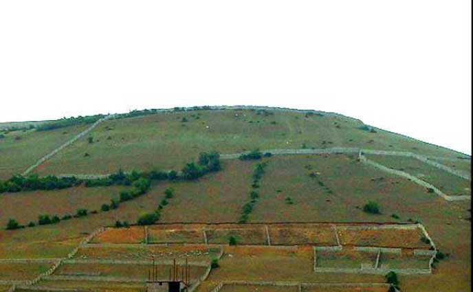 کشف زمین‌خواری ۱۰ میلیاردی در کنگان