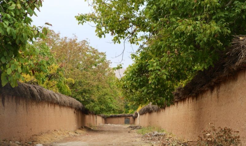 تخریب باغ برای ساخت هتل/ هویت شیراز رو به زوال است