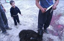 ذبح حیوانات تماشایی نیست، کودک را دور کنیم