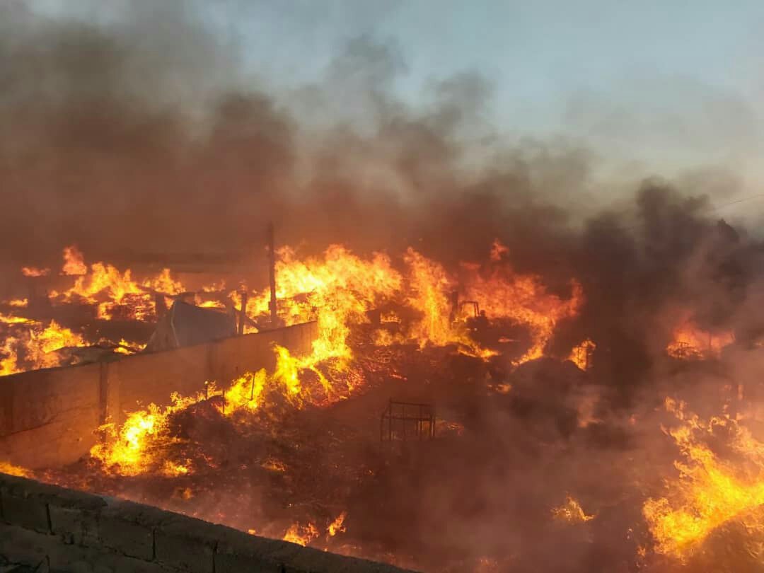 حریق گسترده در انبار چوب/ ۲۰ راس دام تلف شدند حریق گسترده در انبار چوب/ ۲۰ راس دام تلف شدند