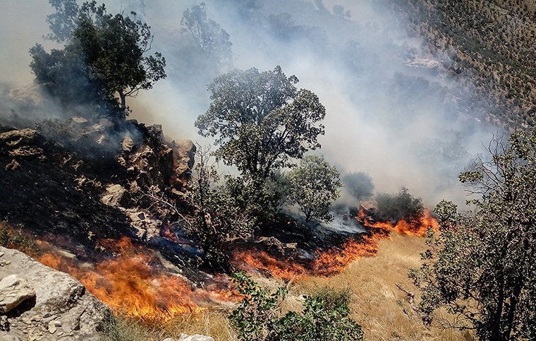 عوامل آتش سوزی جنگل‌های ارسباران بازداشت شدند