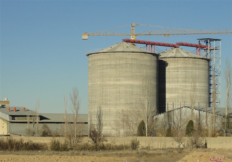 مدیر بازداشتی اداره غله گنبدکاووس: با قید وثیقه آزاد شدم/ ورود ۱۴ کامیون گندم آلوده با تبانی ۴ کارمند شرکت غله