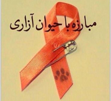 لایحه مقابله با حیوان‌آزاری به دولت می‌رود