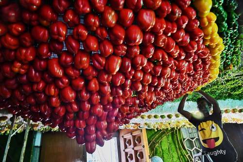 تزئینات فلفلی معبد هندوها در 