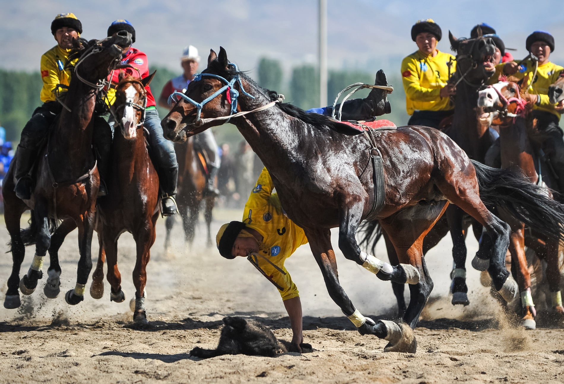 فینال مسابقه 