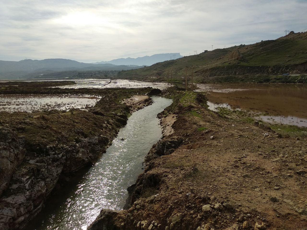 گوری برای بلمک