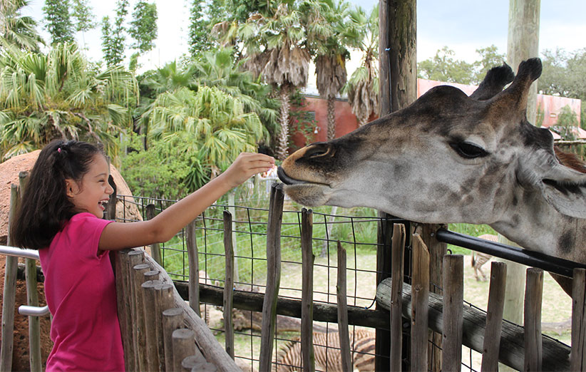 چرا غذا دادن به حیوانات در باغ‌وحش‌ها ممنوع است؟