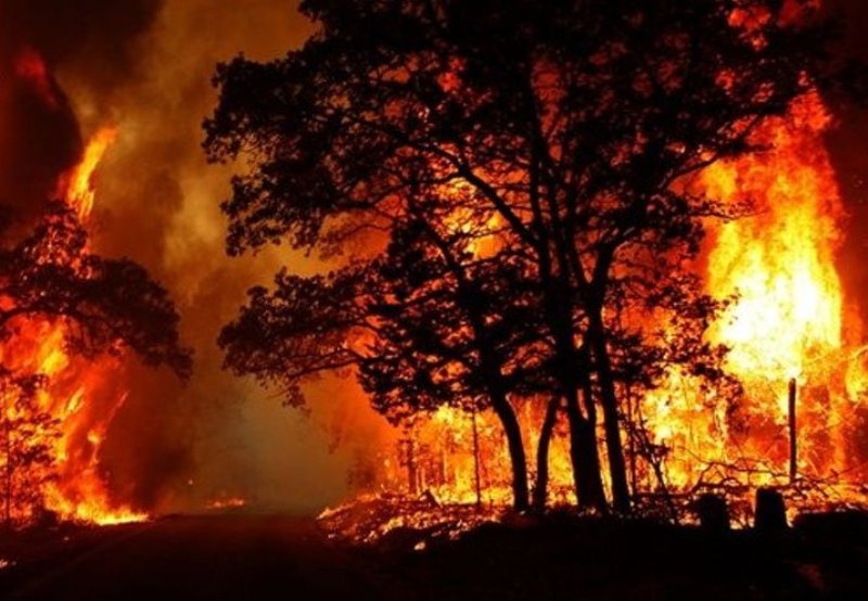 آتش در جنگل‌ها و مراتع