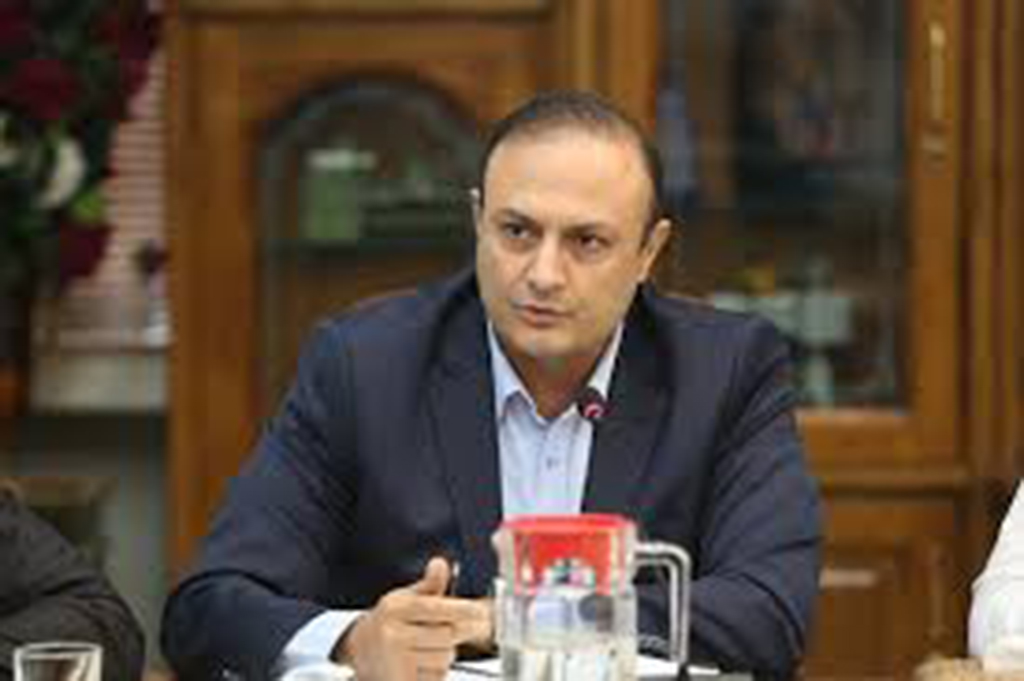 سایپا بهترین عملکرد را در افزایش و رونق تولید داشته است ارش محبی نژاد