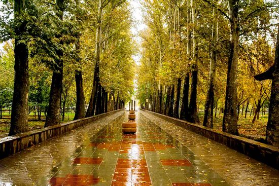 وضعیت جوی کشور در روزهای پایانی هفته/ تهران سردتر می شود وضعیت جوی کشور در روزهای پایانی هفته/ تهران سردتر می شود