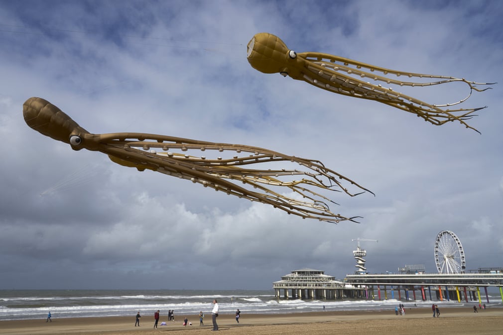 به پرواز درآوردن بادبادک‌های اختاپوسی در ساحل شهر لاهه هلند