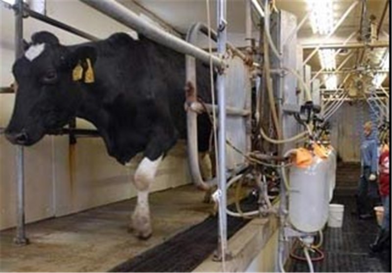 گرانفروشی شیر