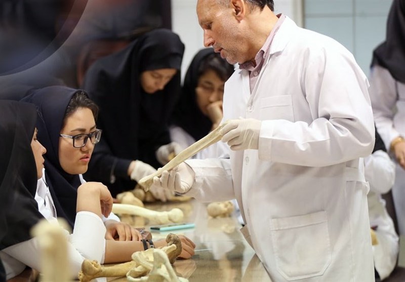  کارنامه&zwnj;های تقلبی 