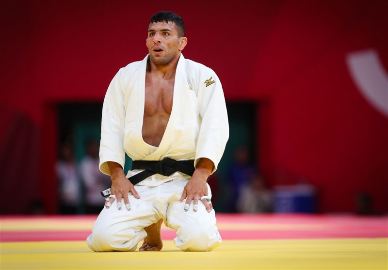 پناهندگی سعید ملایی 