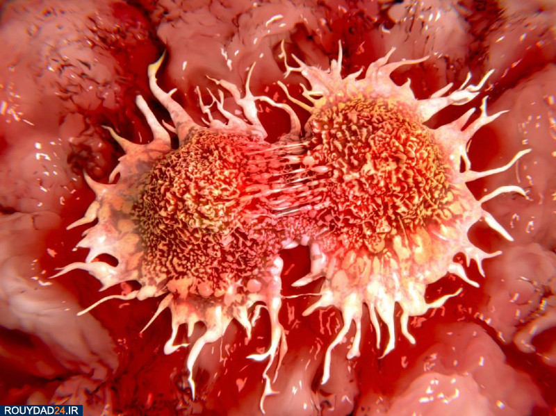 سلول‌های سرطانی چگونه ریشه می‌کنند؟