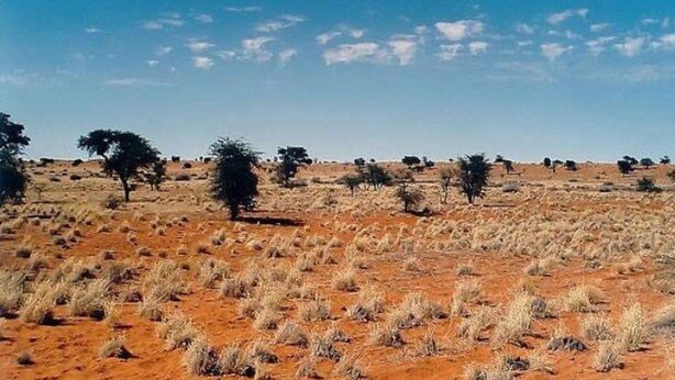 انقراض بشر انقراض بشر