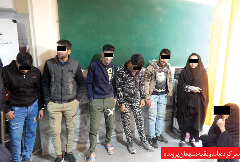 اخبار حوادث