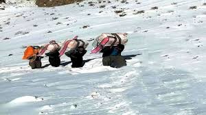 مرگ کولبران