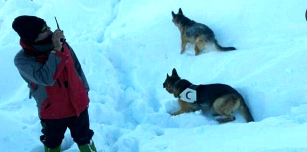 کولبر مفقود شده