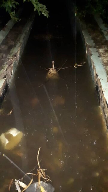 سیل به بناهای تاریخی اهواز هم رحم نکرد!