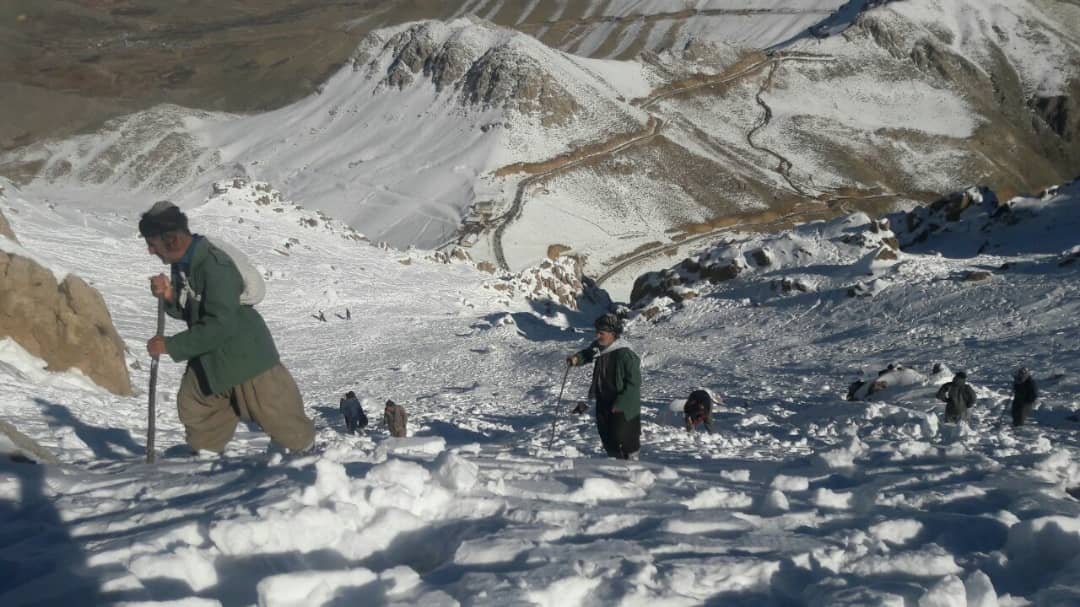 کولبران گمشده فرهاد خسروی آزاد خسروی