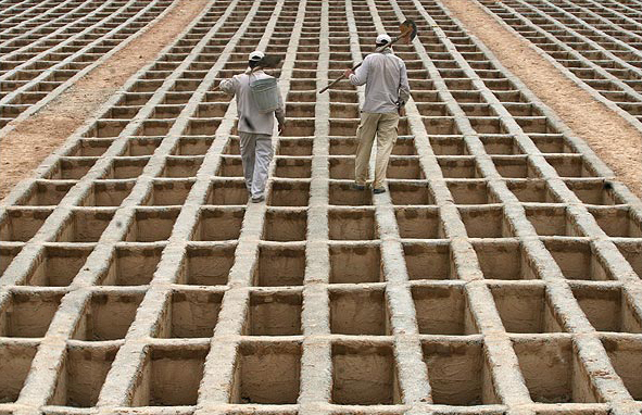 بهشت زهرا بهشت زهرا