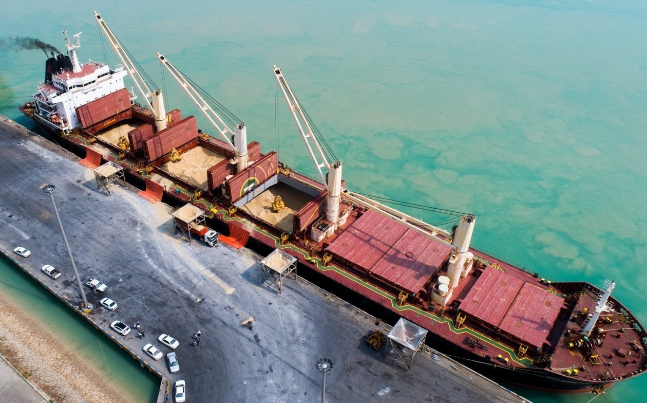 صادرات کرونا صادرات کرونا