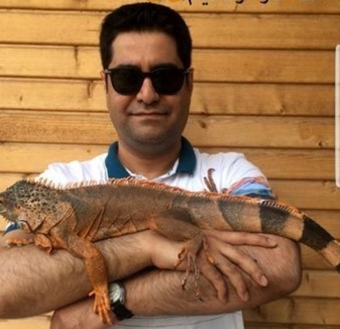  همسر آزاده نامداری