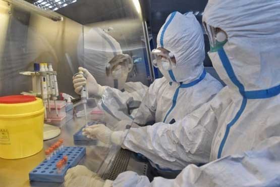 ویروس کرونا