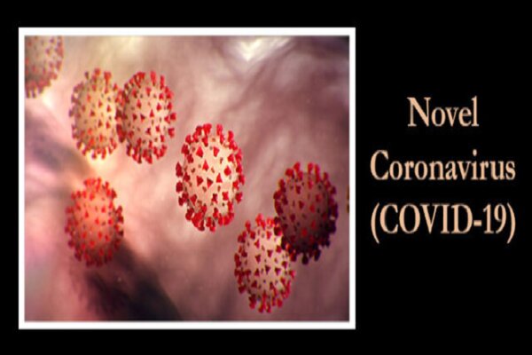 ایتالیا محموله الکل را دزدید