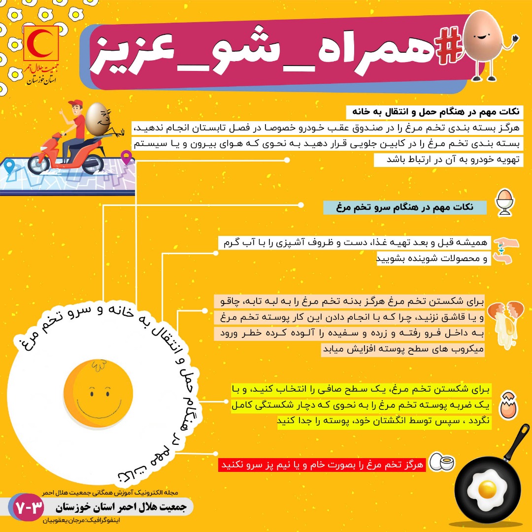 خرید و نگهداری تخم مرغ در دوران کرونا