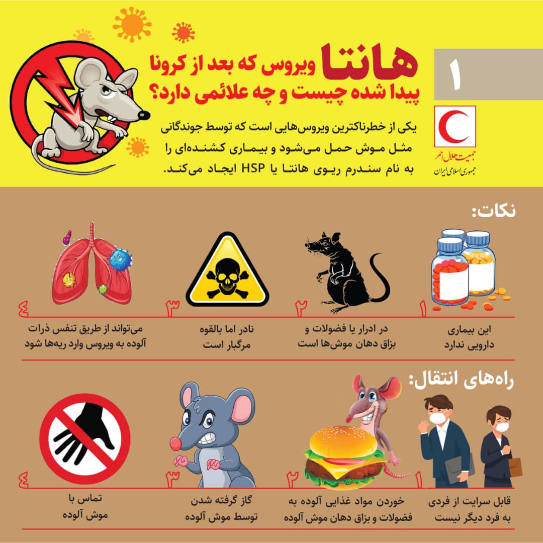 نکاتی درباره ویروسی جدید و کشنده به نام هانتا ویروس نکاتی درباره ویروسی جدید و کشنده به نام هانتا ویروس