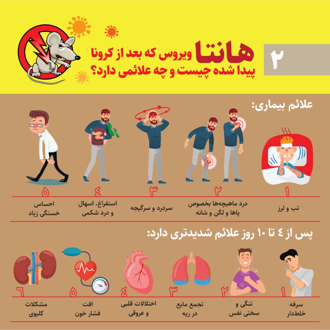 نکاتی درباره ویروسی جدید و کشنده به نام هانتا ویروس نکاتی درباره ویروسی جدید و کشنده به نام هانتا ویروس