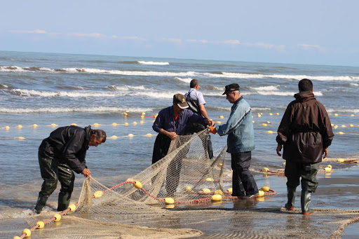 ممنوعیت صید ماهیان خاویاری دریای خزر 