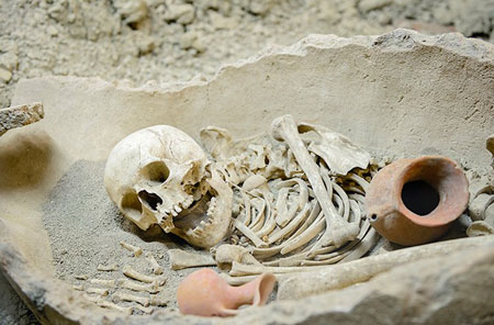 انسان&zwnj;های اولیه چگونه بودند؟