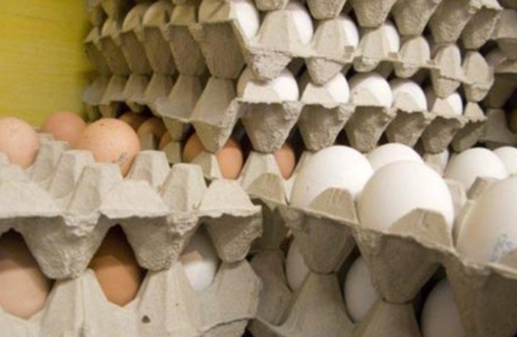 قاچاق تخم مرغ