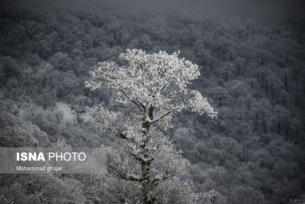 آغاز زمستان