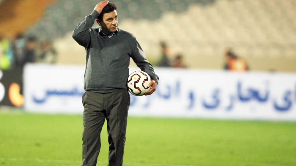 امیر قلعه‌نویی 