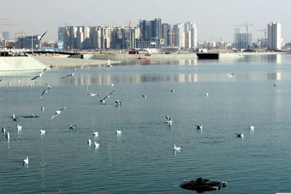 ماجرای تمساح چیتگر