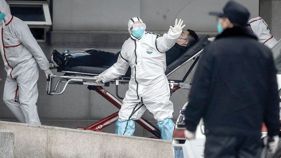 پاندمی جدید نیپا