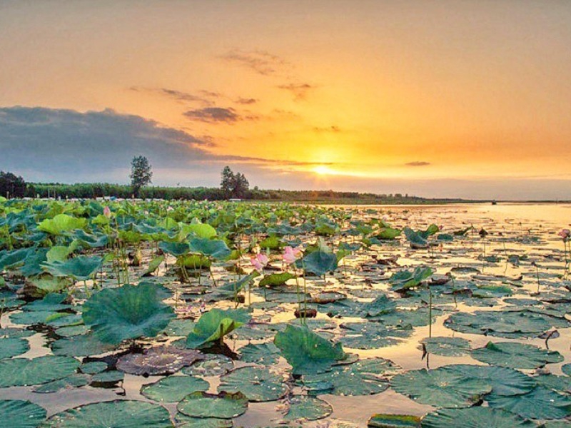  تالاب انزلی