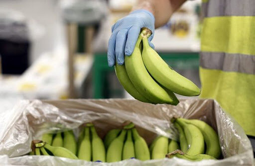 میوه و تره‌بار