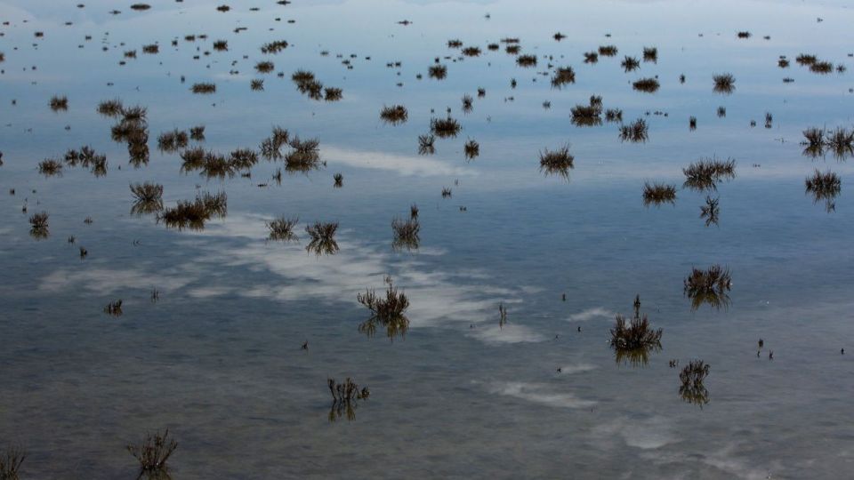 روز جهانی تالاب