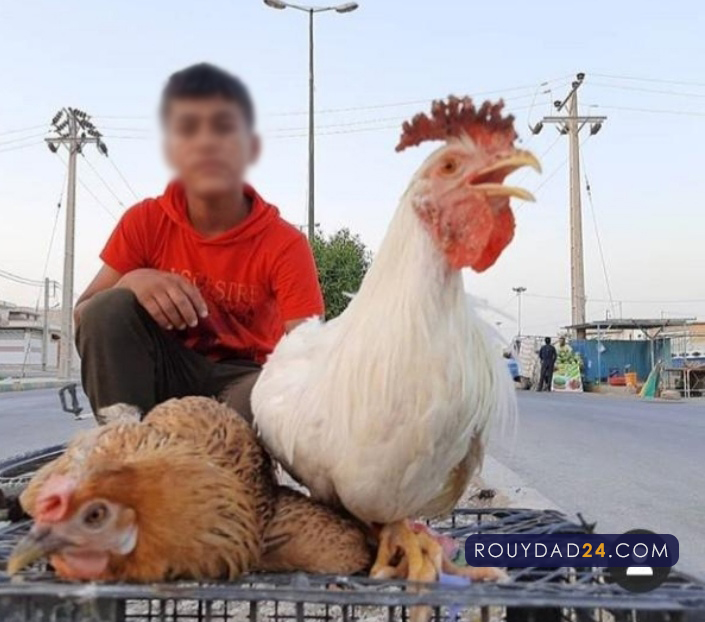 خودکشی کودک ماهشهری خودکشی کودک ماهشهری