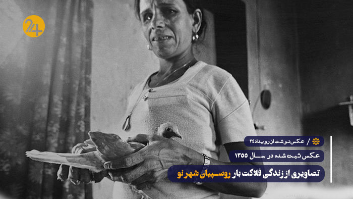 تصاویر شهر نو تصاویر شهر نو