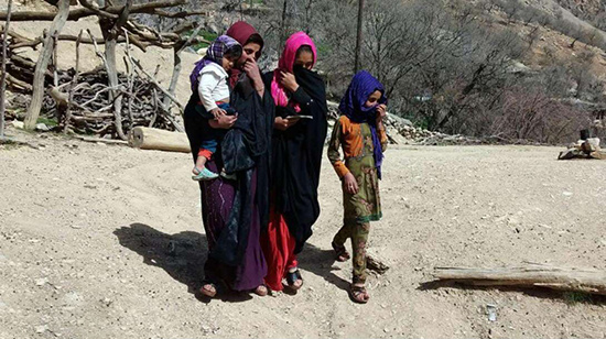 خودکشی دختران در بویراحمد