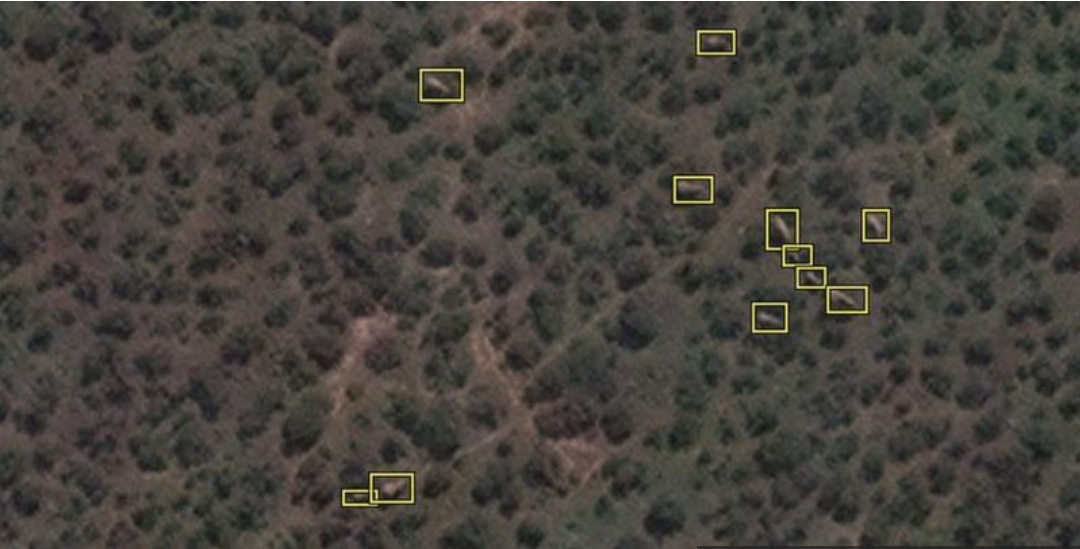 شمارش فیل ها از فضا شمارش فیل ها از فضا