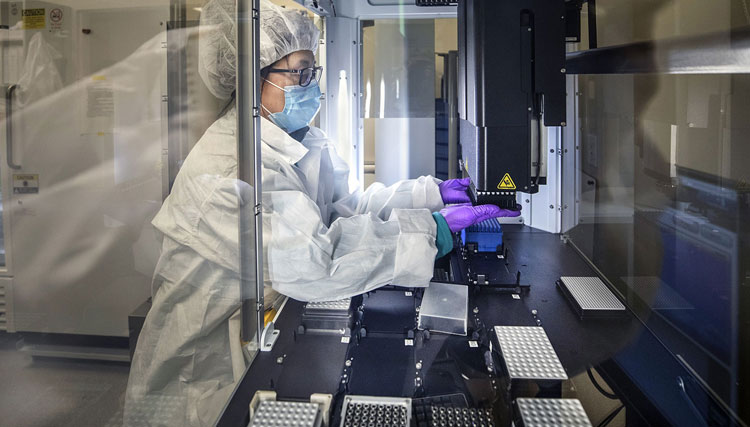 ویروس کرونای انگلیسی